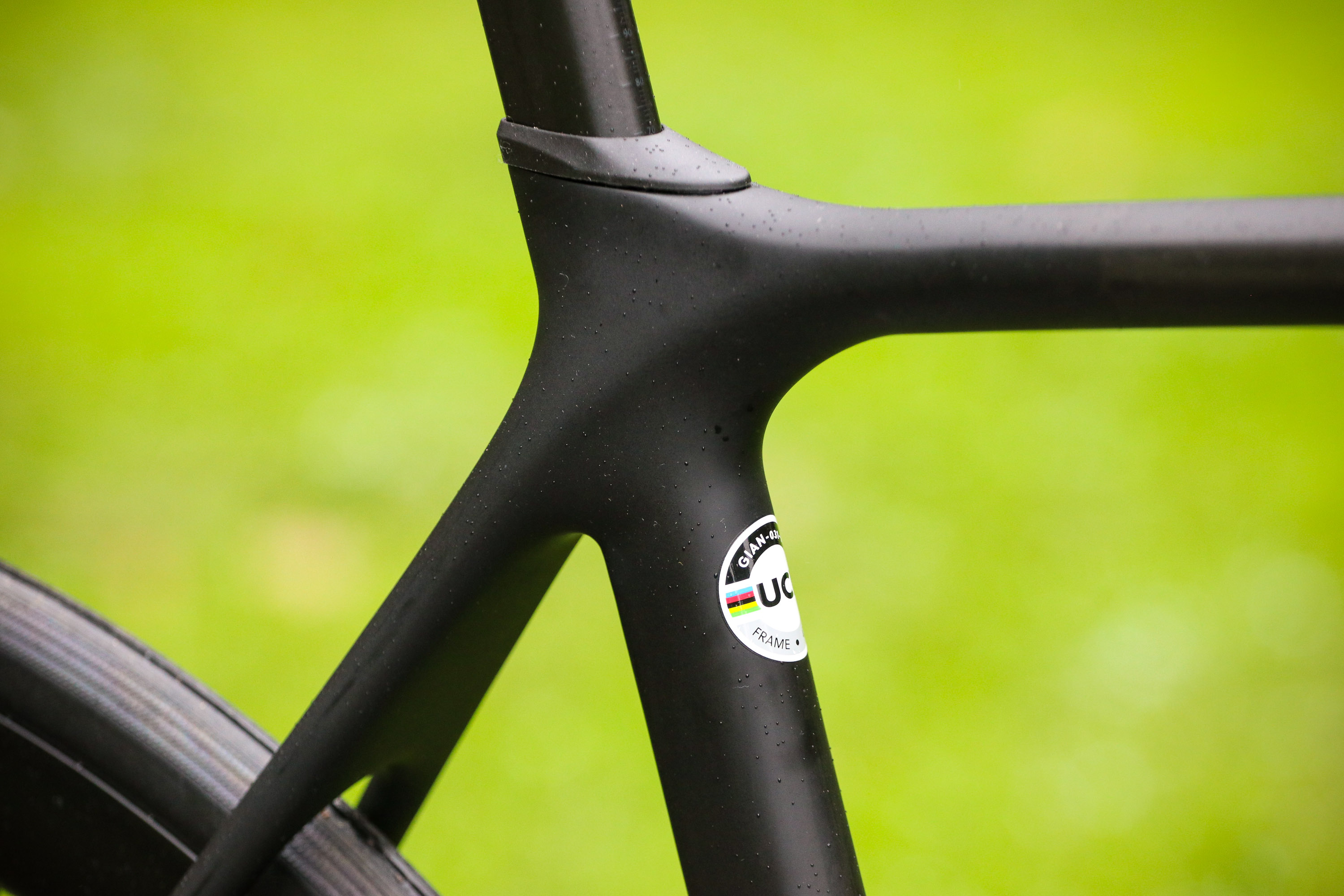 giant tcr disc frameset