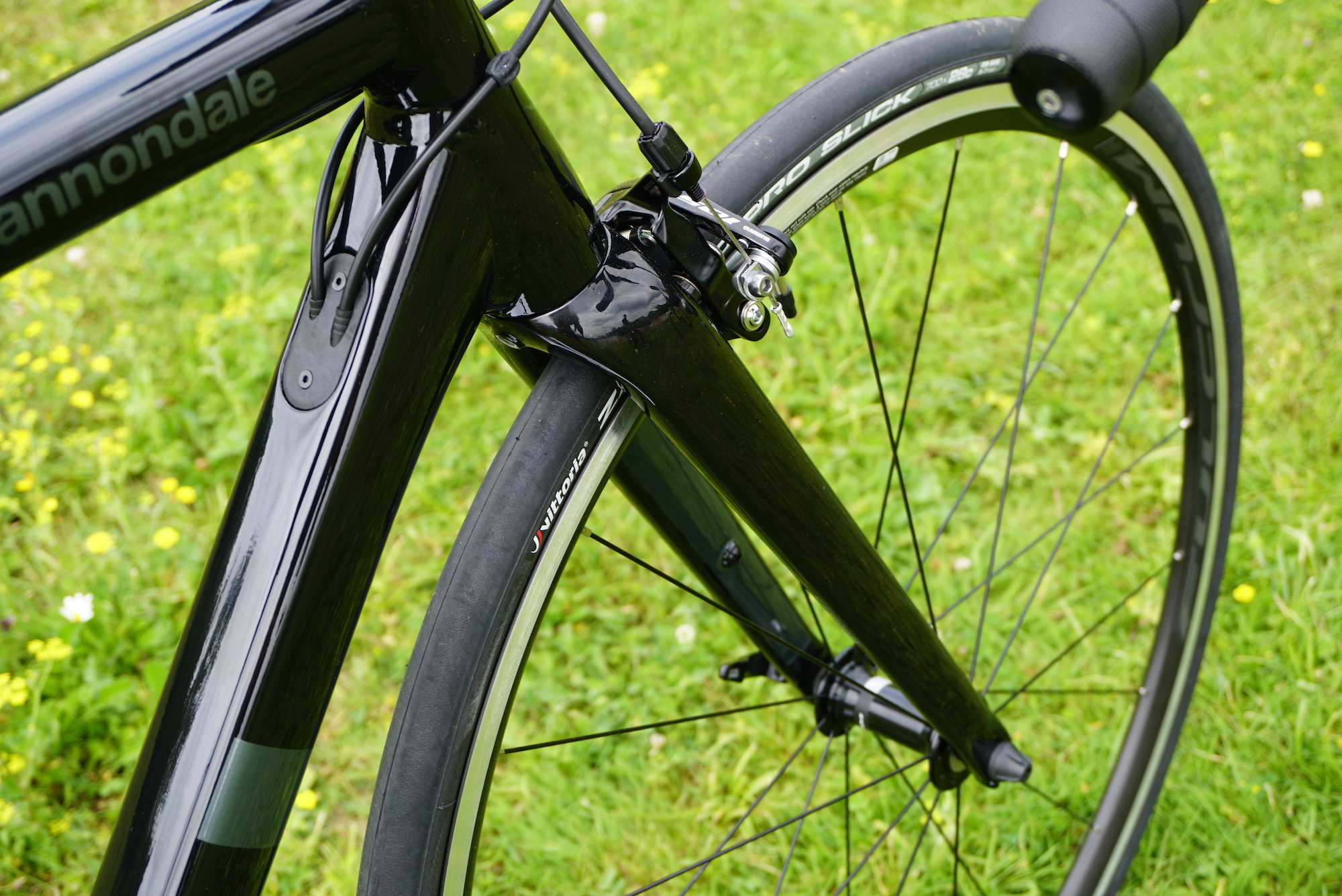 caad13 mudguards