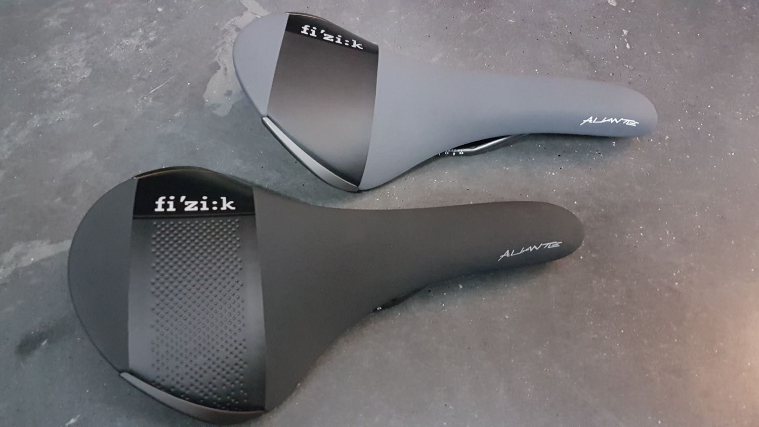 fizik spine concept