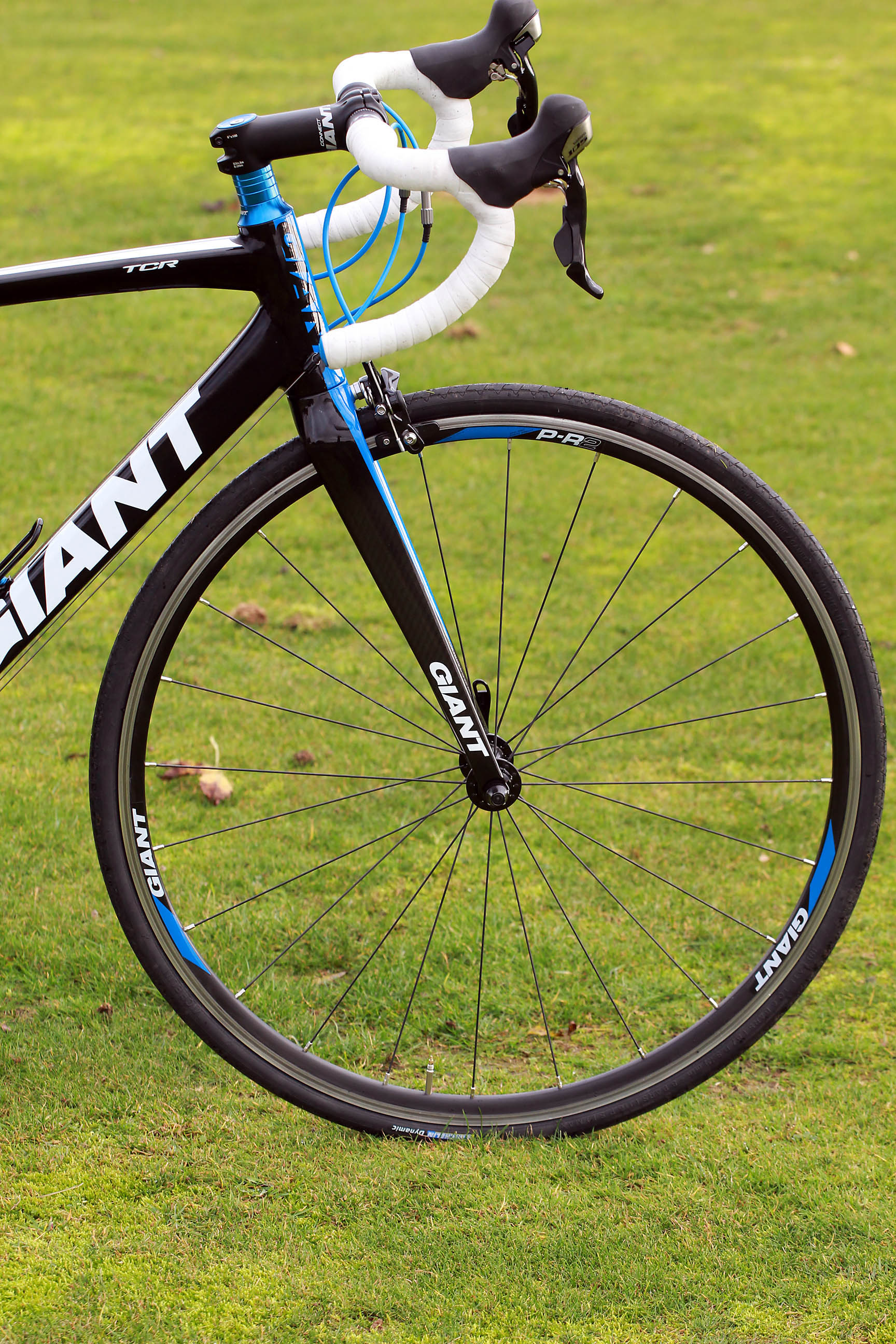 giant tcr compact 1