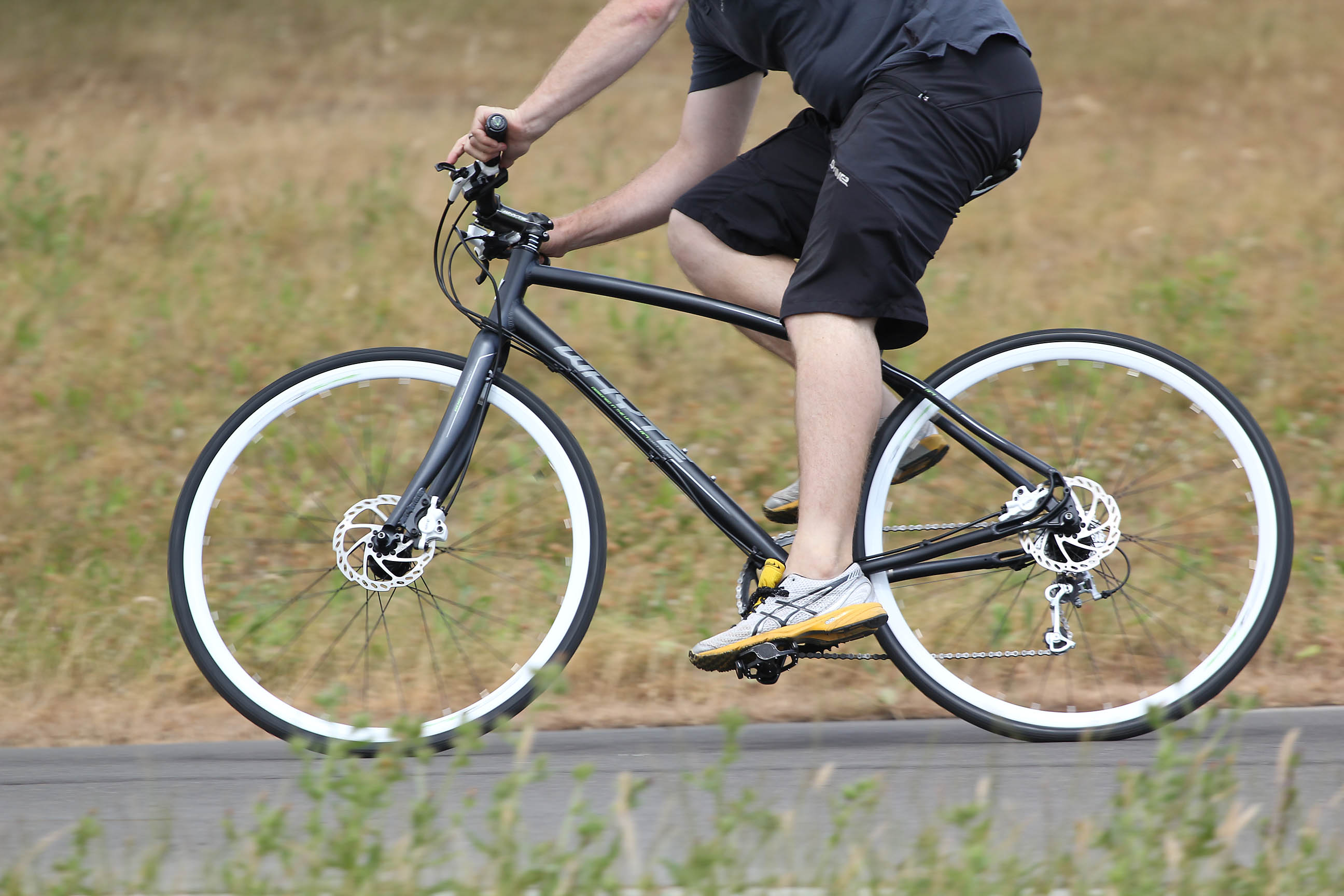 whyte portobello mudguards