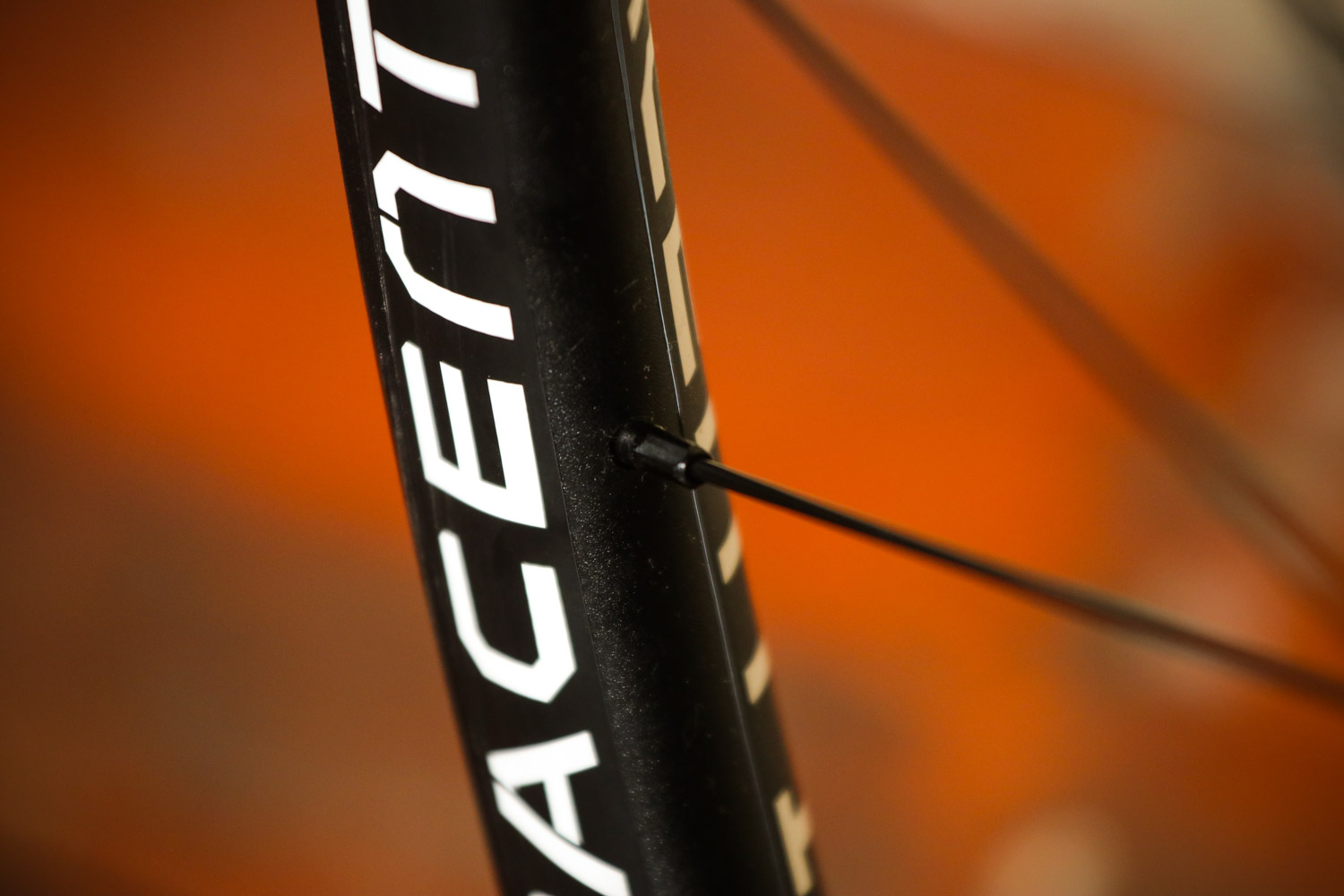 pacenti 650b wheelset