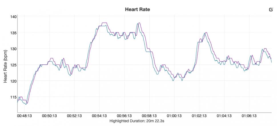 Polar Verity Sense optical heart rate sensor - Wattbike