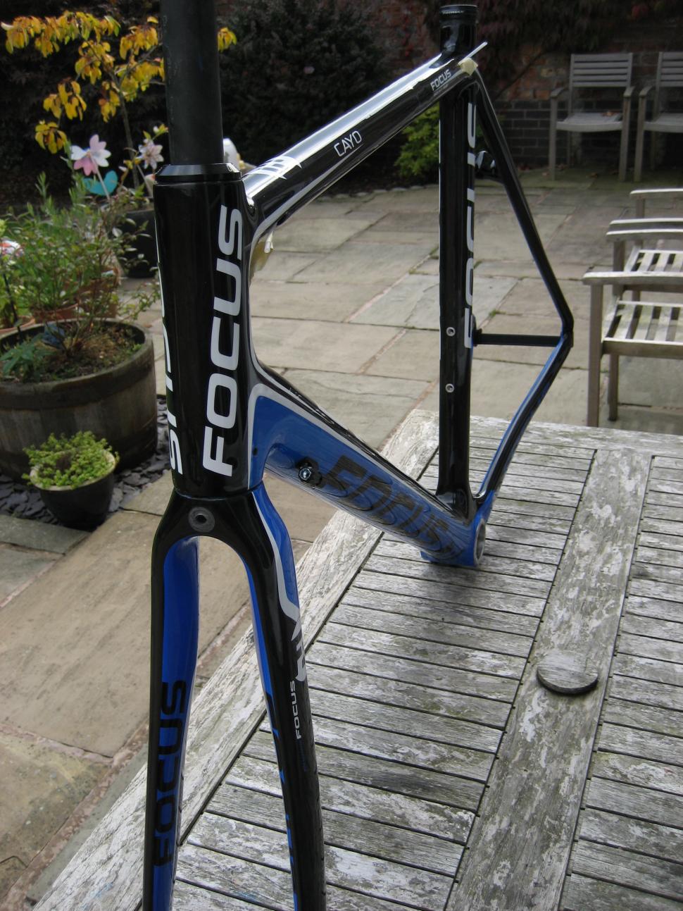 focus cayo frame weight