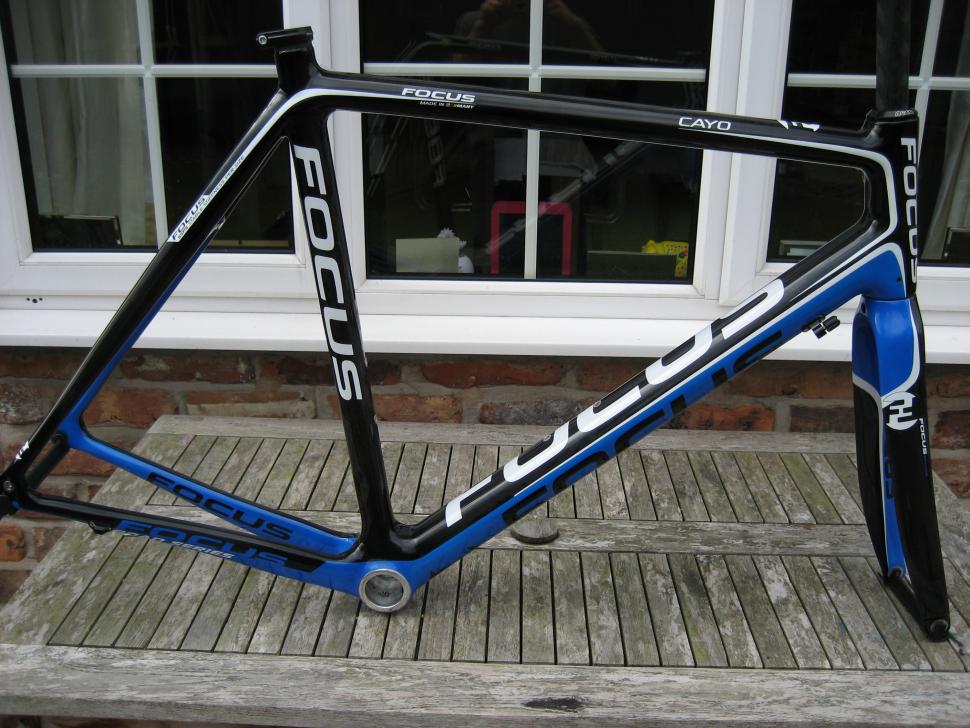 focus cayo frame weight