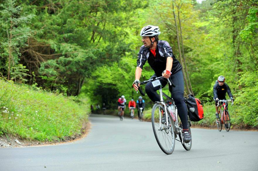 Box Hill closed to all traffic including cyclists over Easter