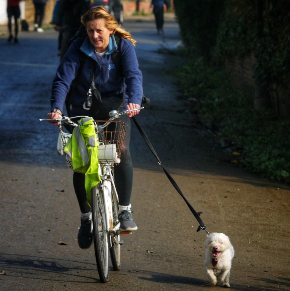 Dog Bike Leash - WalkyDog Biking Leash - That Mutt