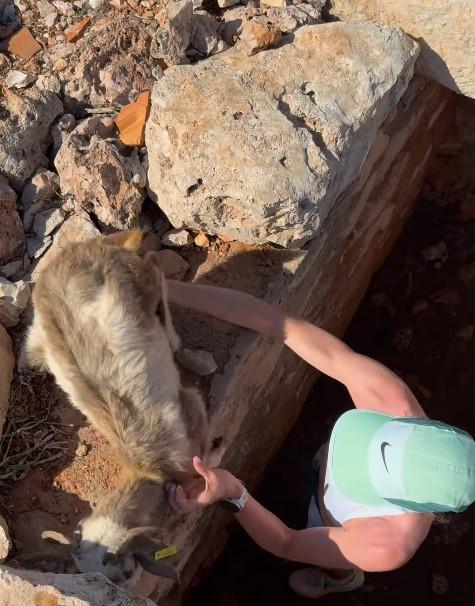 Demi Vollering rescues goat from well in Greece (Demi Vollering, Instagram) 4