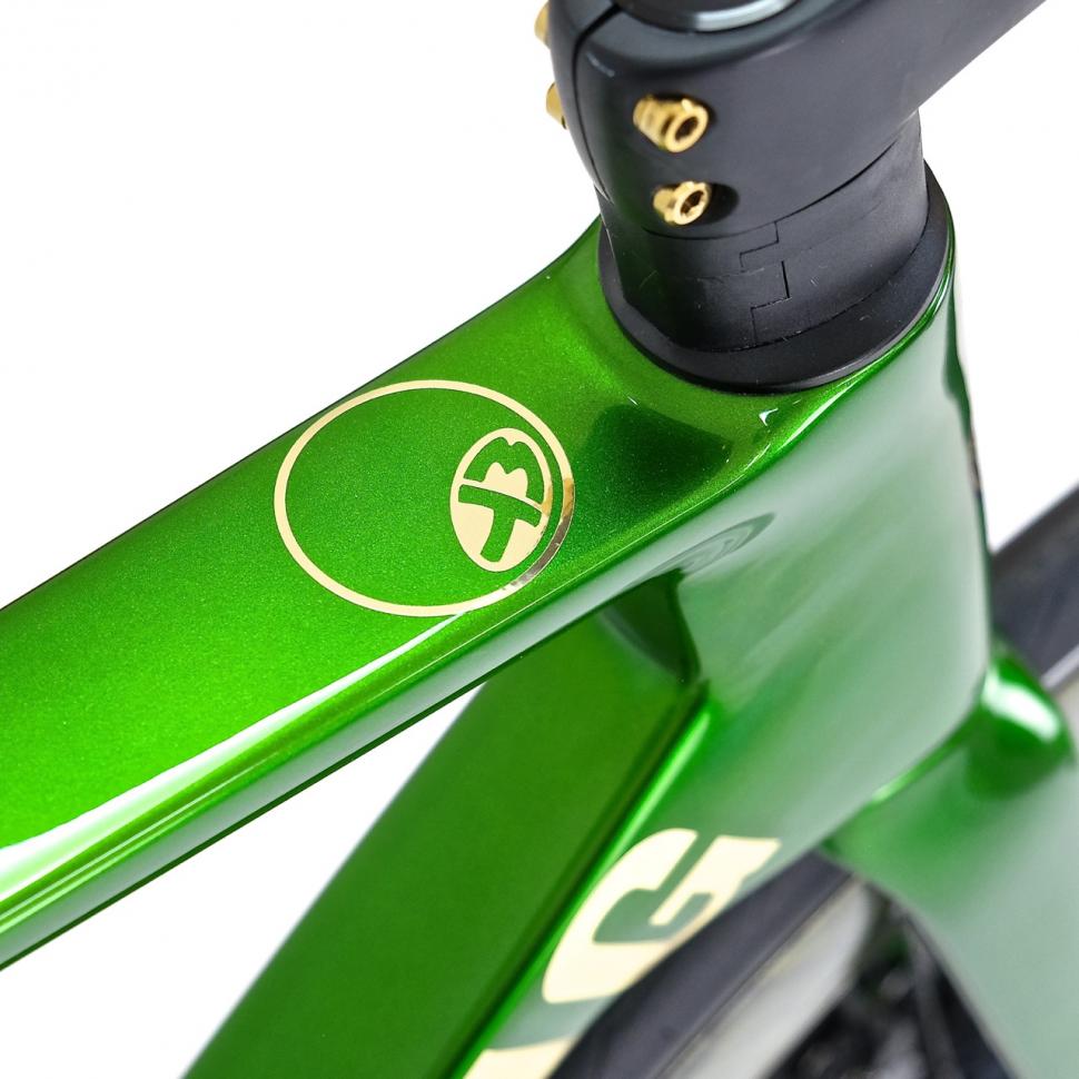 Metallic discount green bike