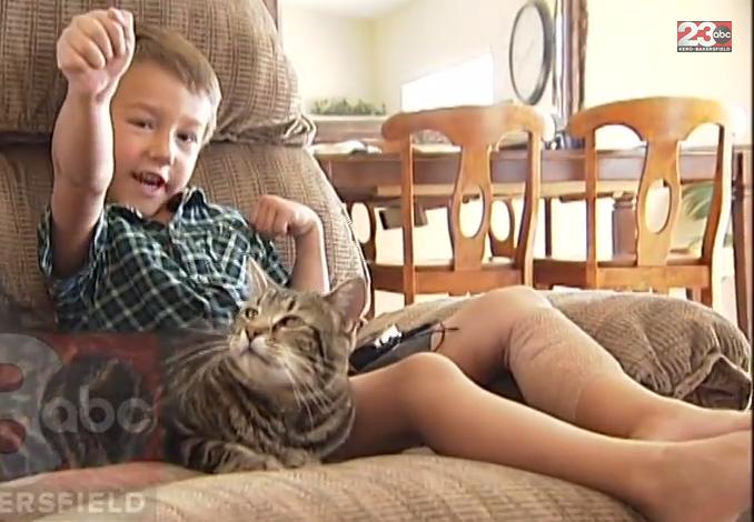 Tara the cat wins Hero Dog award for saving boy from attacking dog