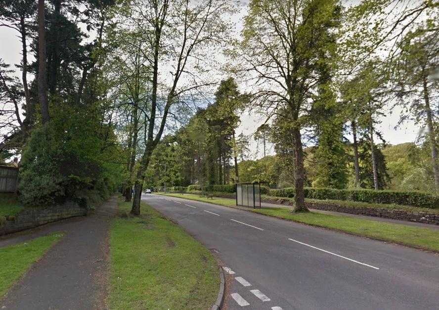 Angry residents threaten to chain themselves to trees over cycle lane