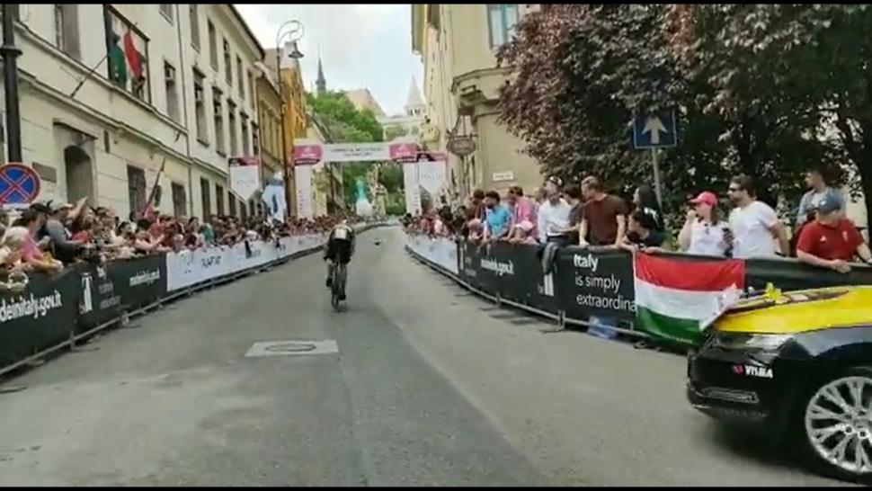 By a whisker! TT-invading cat drops Jumbo-Visma pro up Giro d’Italia climb