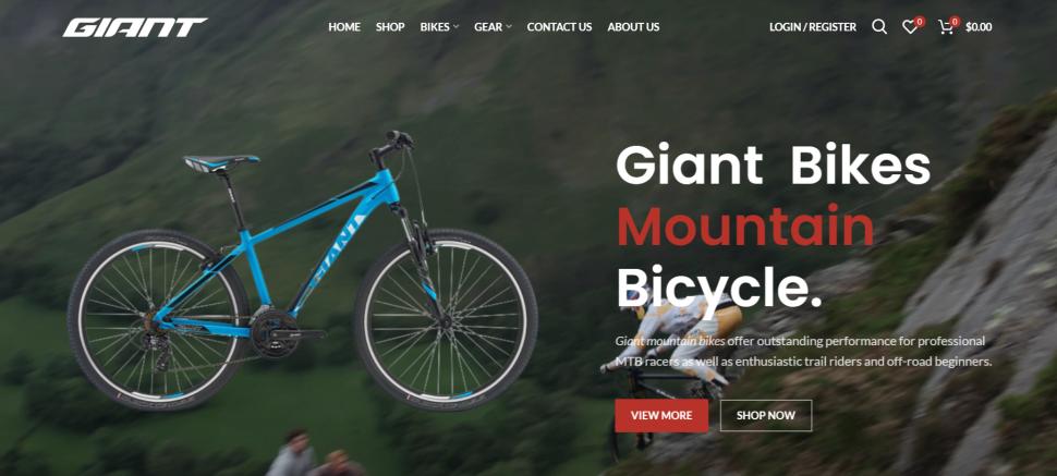 Giant bicycle 2024 website