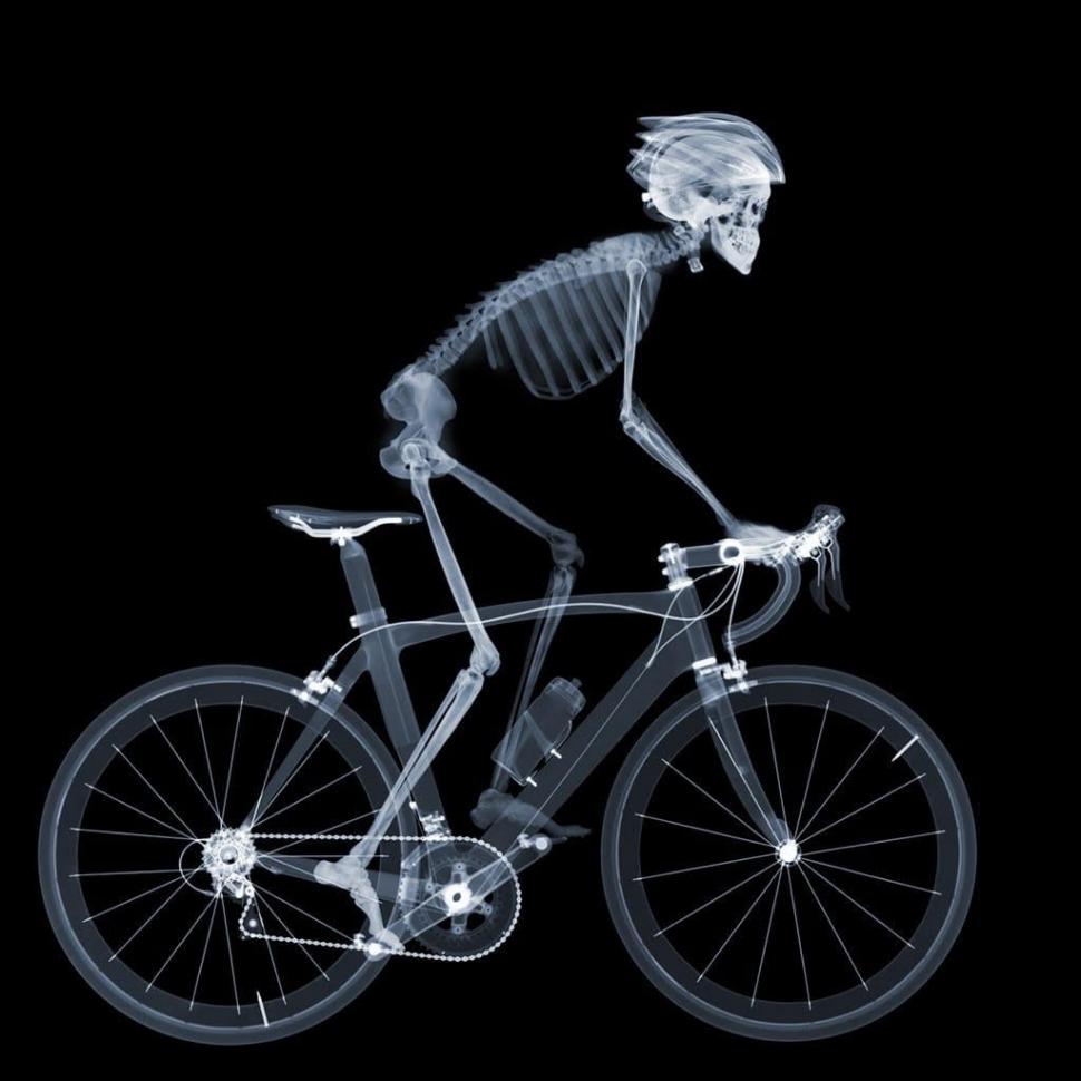 skeleton bike seat
