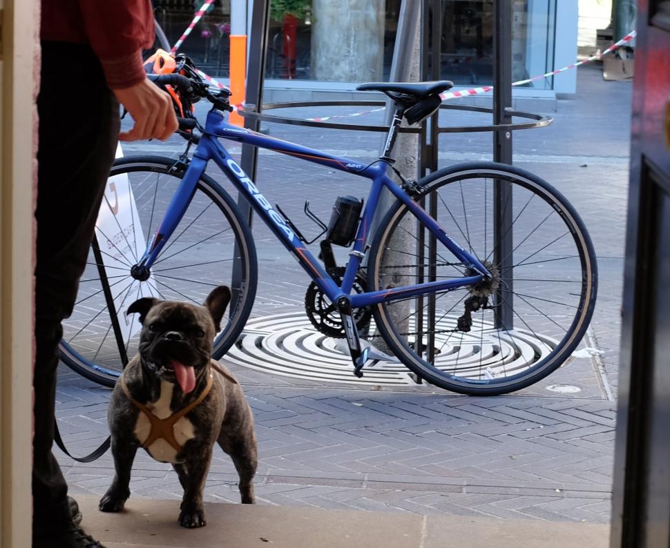 police bicycle for sale