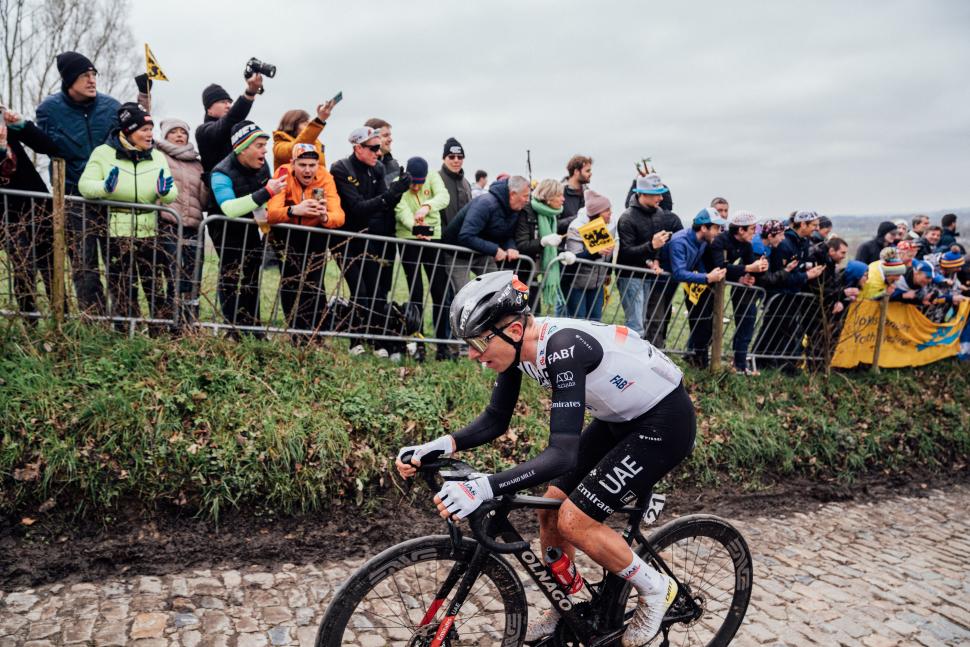 tour of flanders pogacar