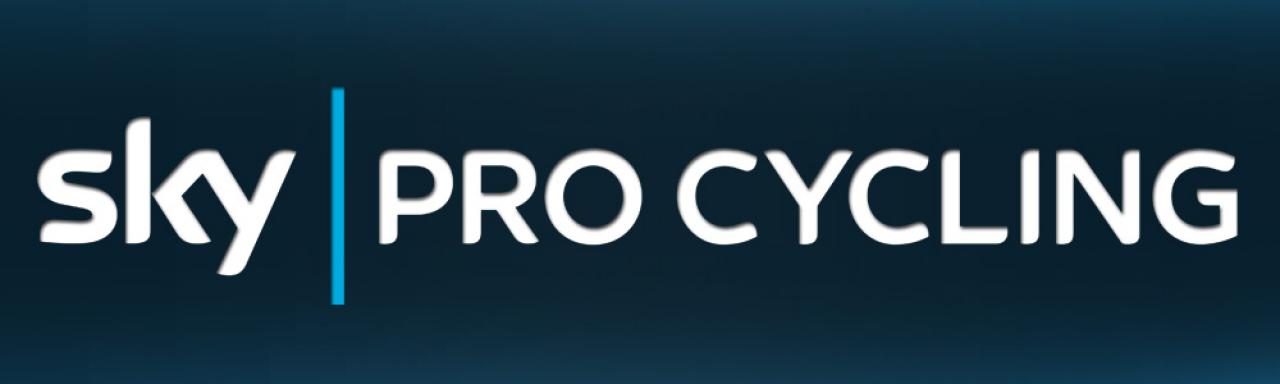 Sky manage. Sky.Pro лого. Логотип Skypro картинка. Значок Skypro. Sky Pro Label.