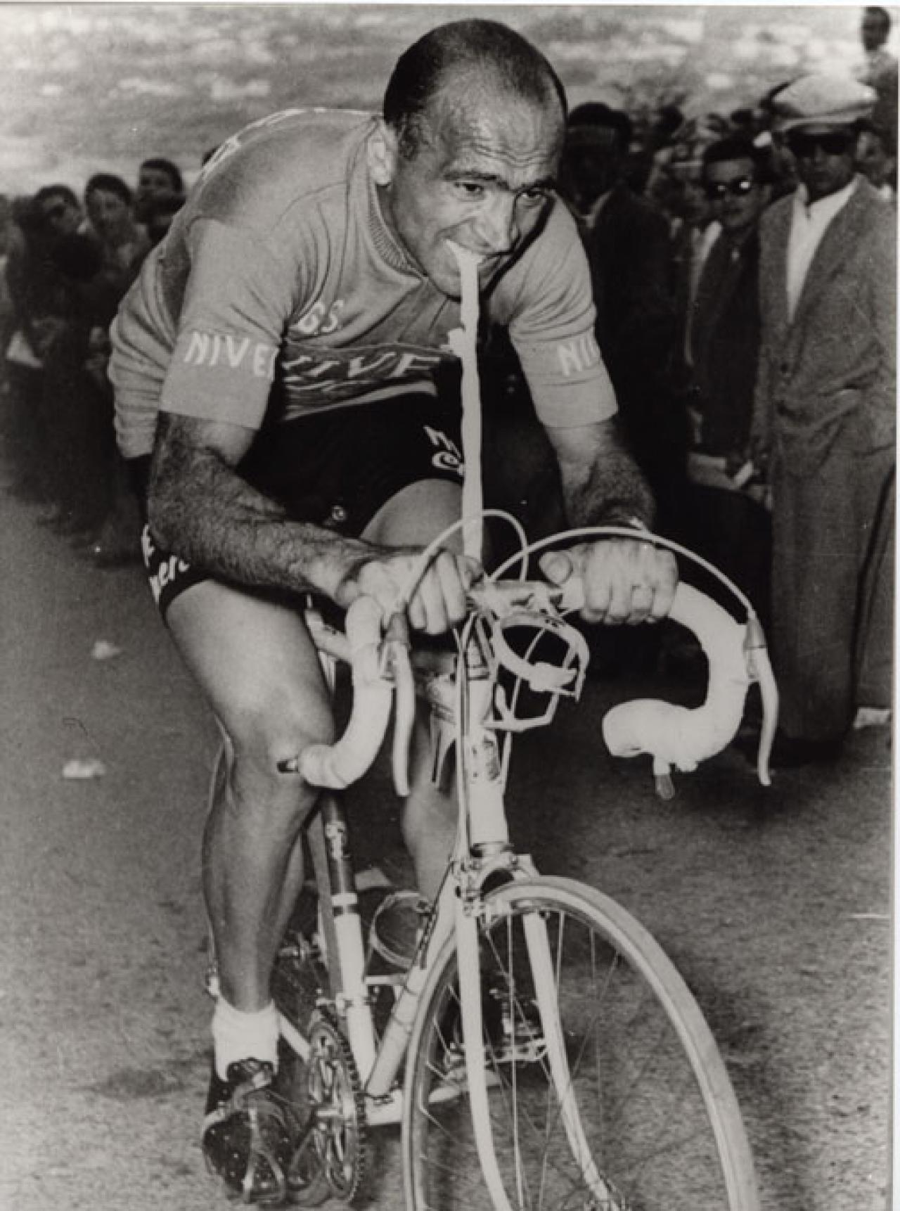 the lion of flanders cycling