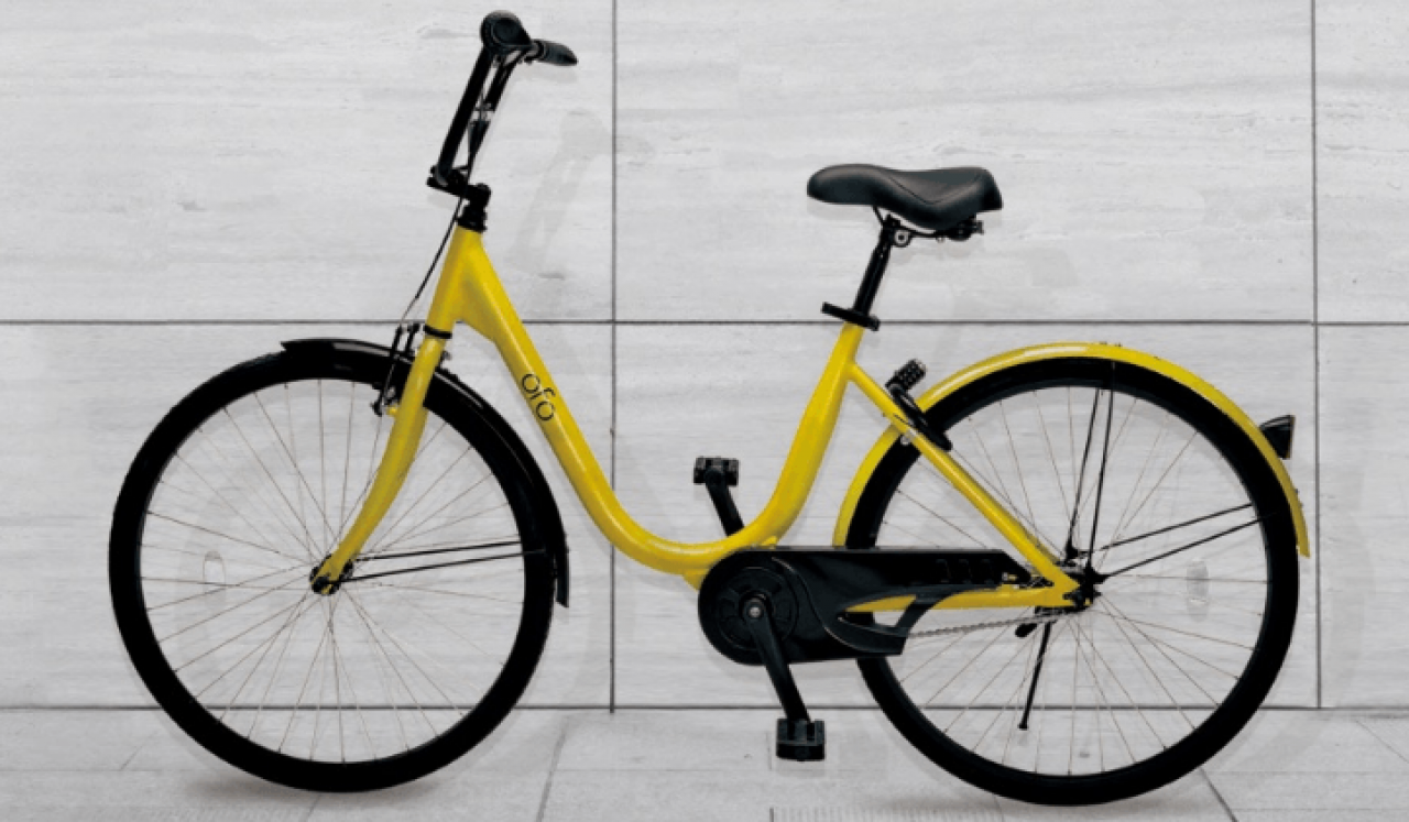 ofo cycle