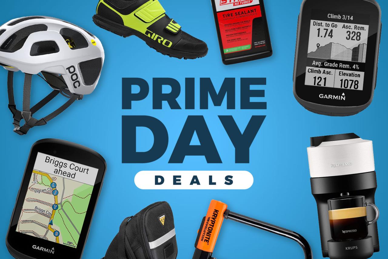 Cheap dash cam deal takes 25% off the Garmin Mini 2 for  Prime Day