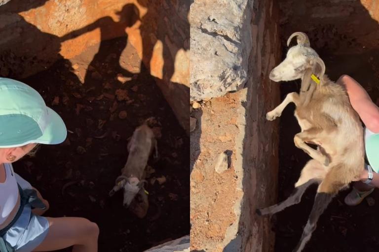 Demi Vollering rescuing goat from well on holiday in Greece (Demi Vollering, Instagram)