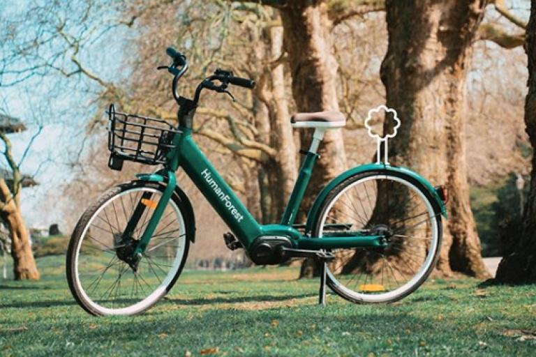 human forest bikes