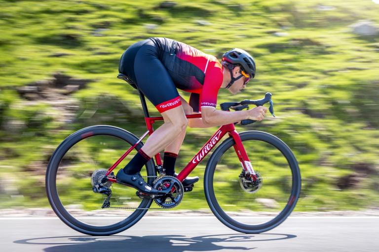 wilier bikes 2019