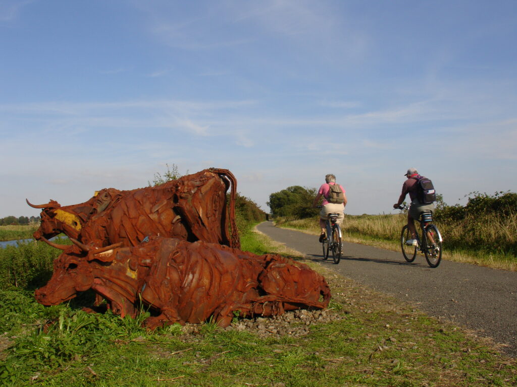 Water Rail Way (David Martin/Sustrans)