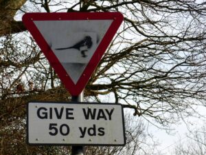 GiveWayMagpie