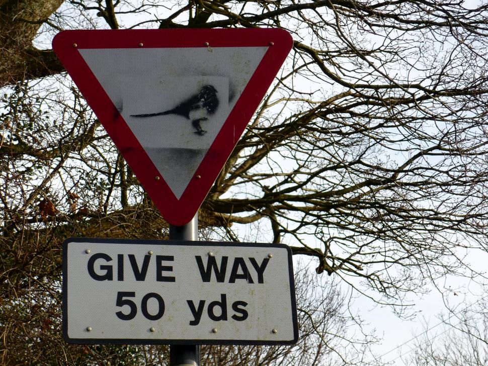 GiveWayMagpie