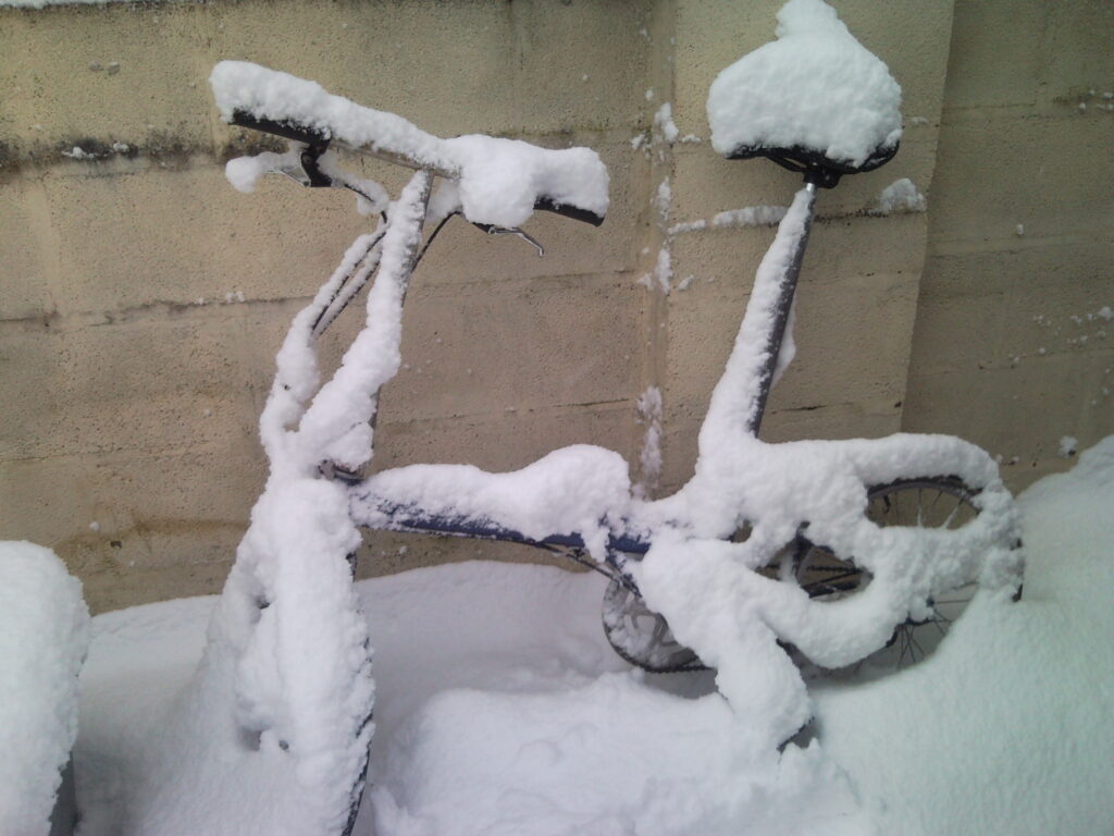 Ridgeback folder in the snow