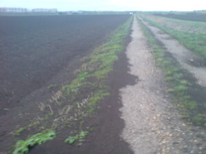 The topsoil blows onto the road in the recent storms