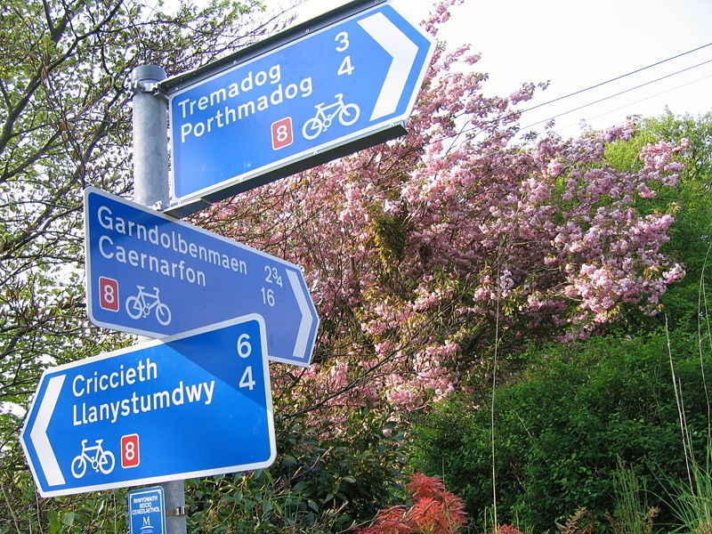 welsh cycling.jpg