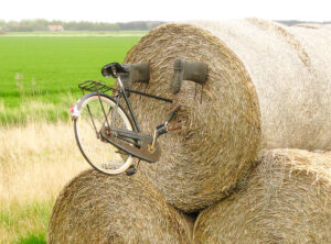 Bike accident