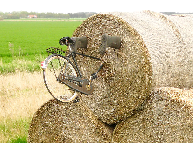 Bike accident
