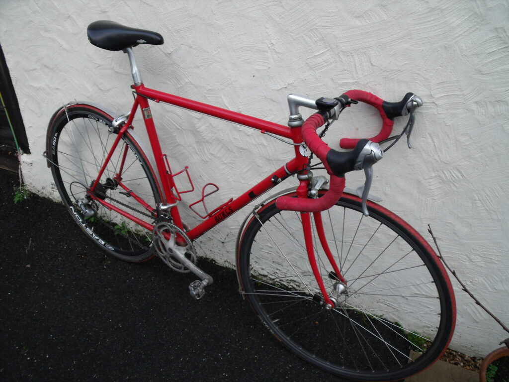 Burls Clean Winter Steed.jpg