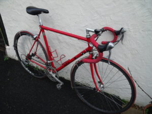 Burls Clean Winter Steed.jpg