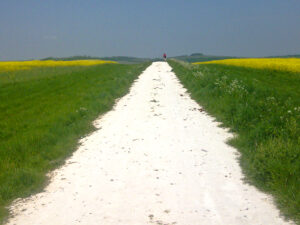 South Downs Way – more conducive to friendly greetings?