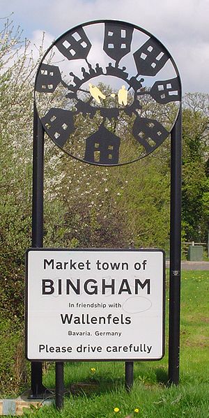 bingham.jpg