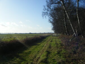 HolmeWood 014.jpg