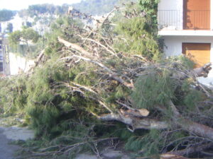 DSCF1577.JPG
