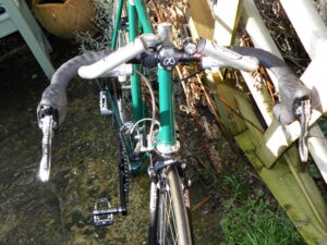 Bill's Bike Babes Race Sticks (Front view)