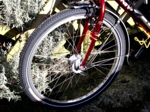 Vittoria Randonneur trail II