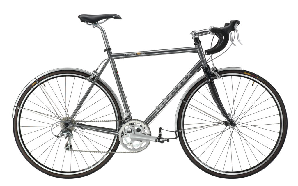 Ridgeback Century on white