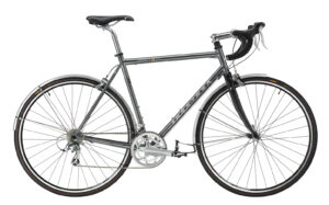 Ridgeback Century on white