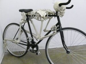 skeletal-bicycle_FG3SO_58.jpg