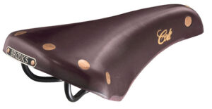 Brooks Colt in Violet