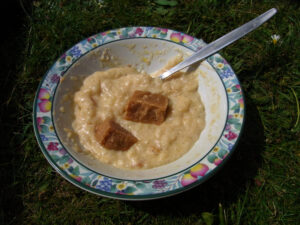 TRAT 2010 – rice pudding & tablet