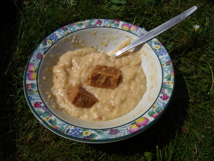 TRAT 2010 – rice pudding & tablet