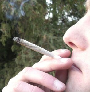 Joint (picture credit Chmee2:Wikimedia Commons).jpg